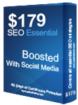 Essential SEO