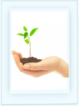 Start up SEO