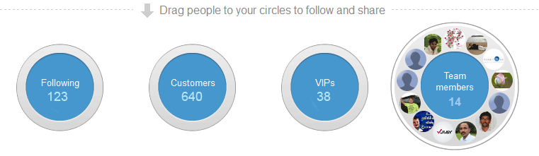Google Plus One Cirlces