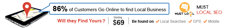 Local business SEO