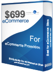 eCommerce SEO