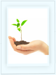 startup promotion