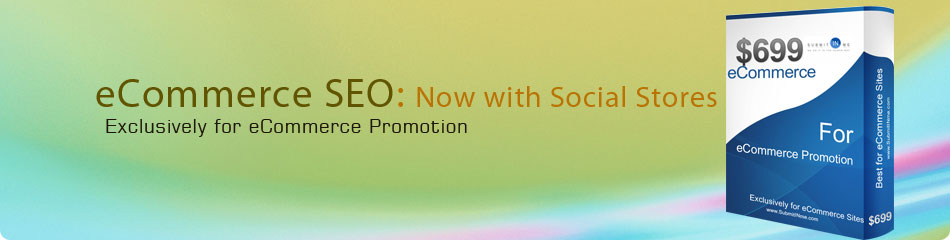 Ecommerce SEO Package