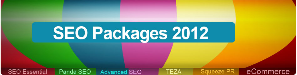SEO Package