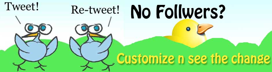 Twitter customization