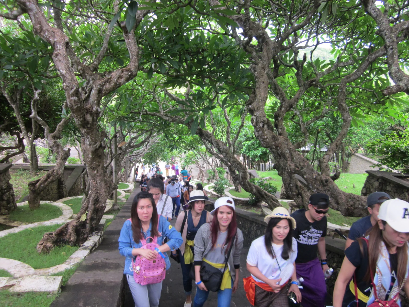 SubmitInMe SEO and digital marketing staff nature walk under tree canopy on office outing