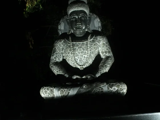 Close-up of the Buddha statue at the SubmitInMe office