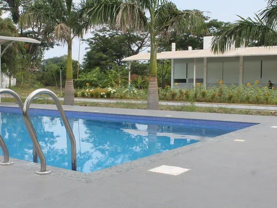 Poolside view at the SubmitInMe office