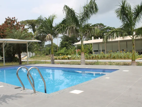 Swimming pool at the SubmitInMe office