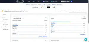 H2Fi Google Analytics analysis report with traffic insights