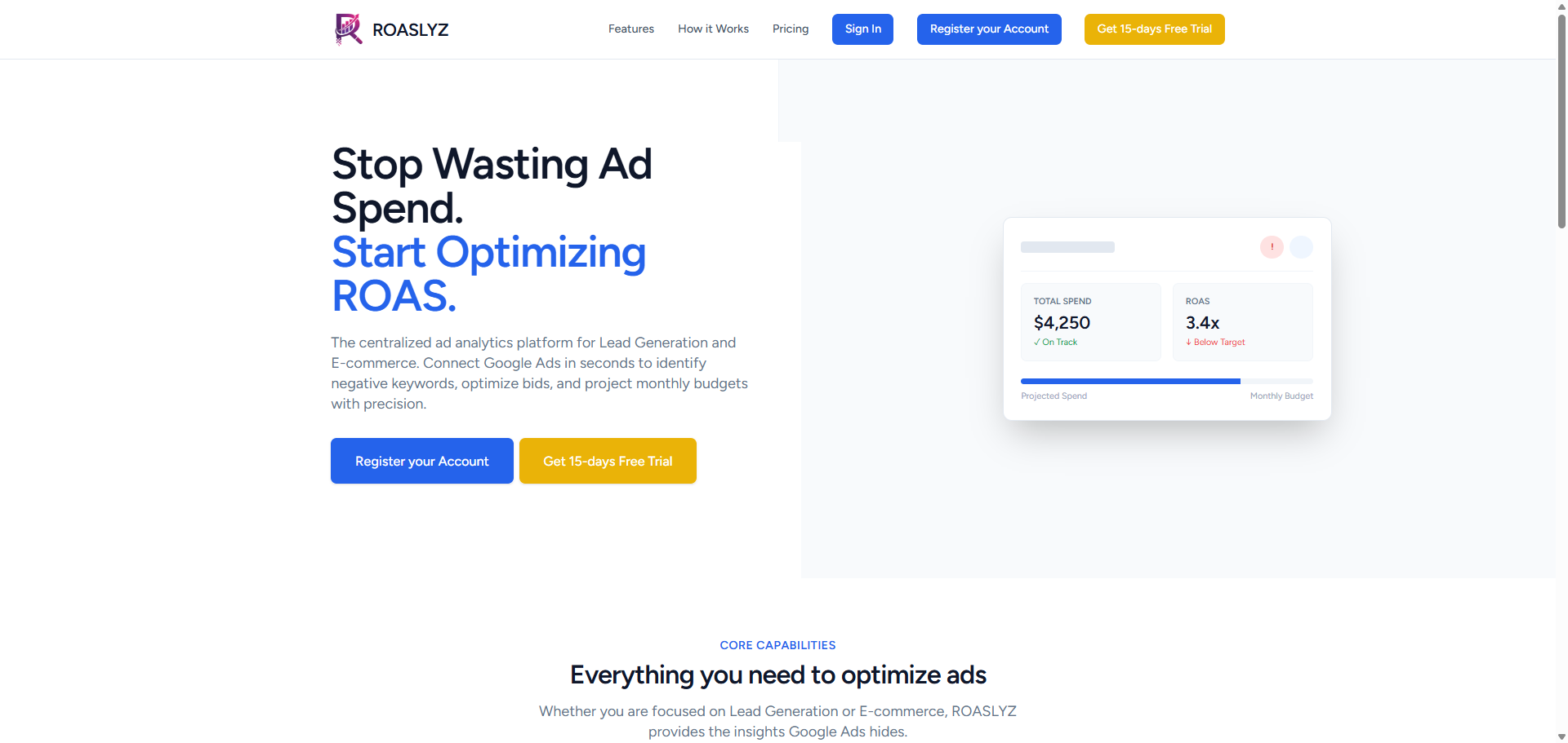 ROASLYZ landing page introducing the centralized Google Ads analytics platform
