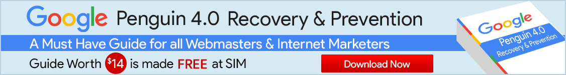 Google Penalty Recovery