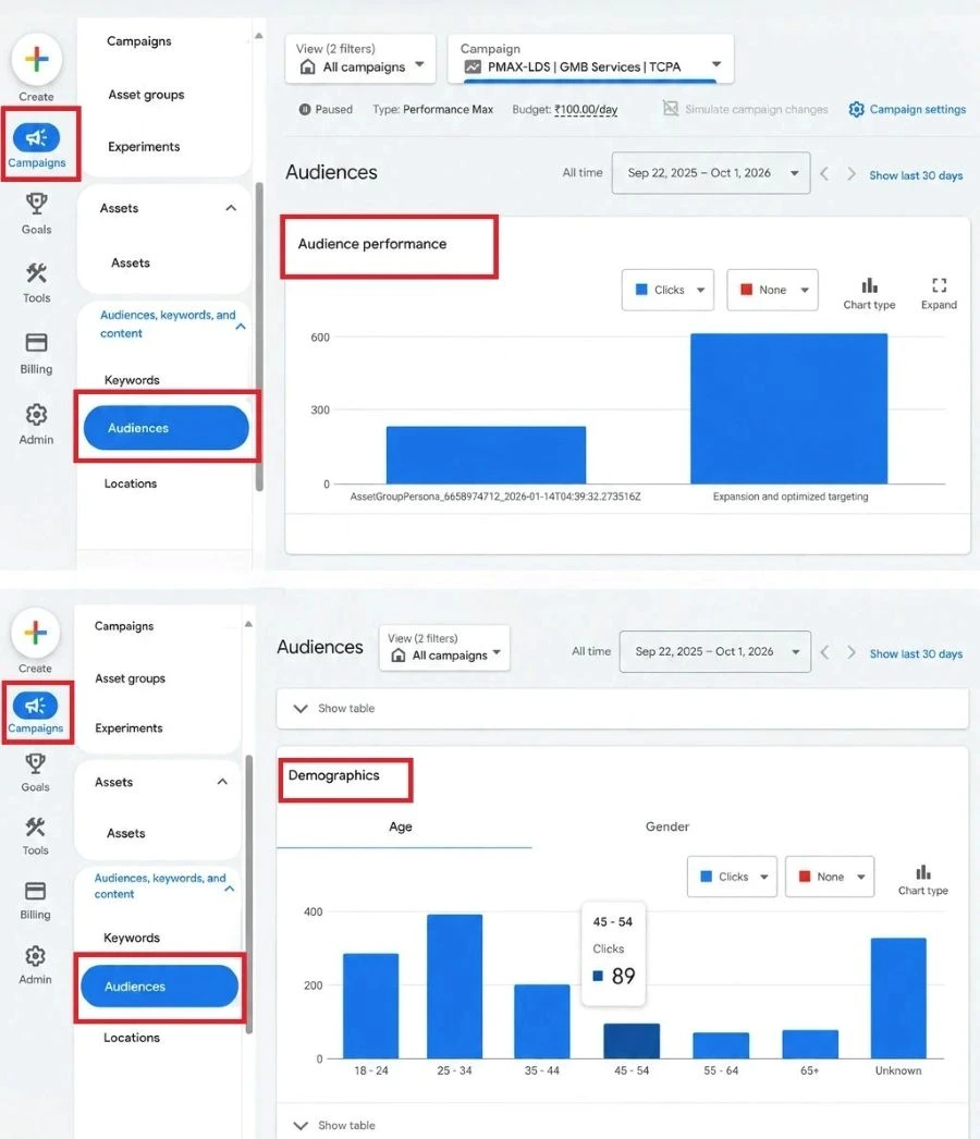 Google Ads audience dashboard showing audience targeting, performance, and demographic data.