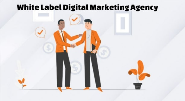 white label digital marketing agency