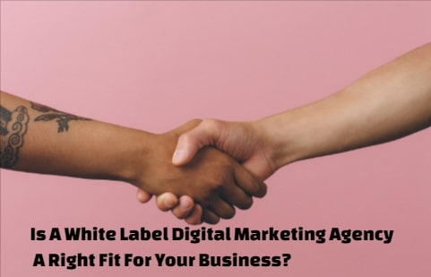 white label digital marketing agency