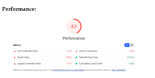 Google Lighthouse Performance Report