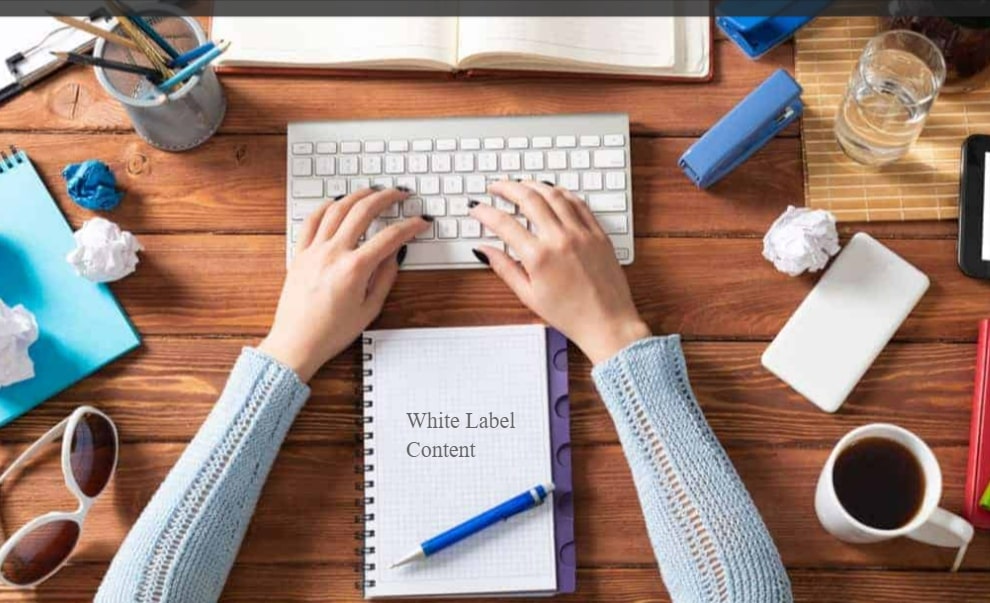 white-label-SEO-agency 
