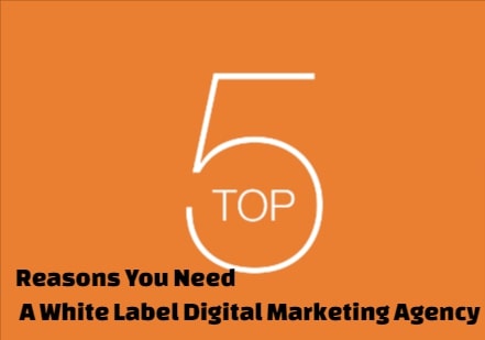 white Label Digital Marketing Agency