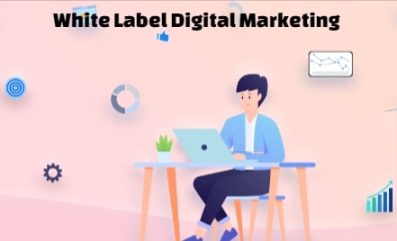 white label digital marketing agency