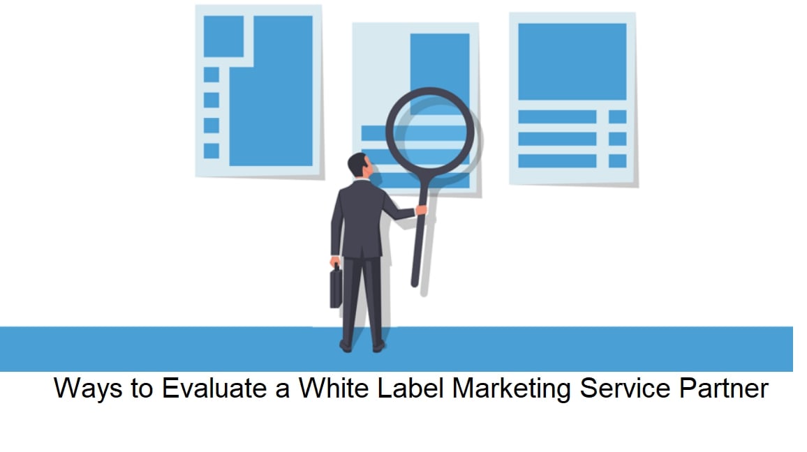 white label digital marketing agency