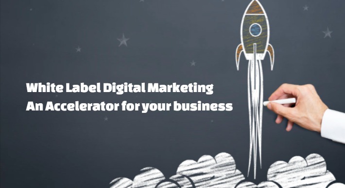 White label digital marketing agencies