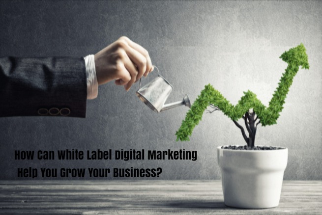 Can White Label Digital Marketing Help You Grow Your Business?