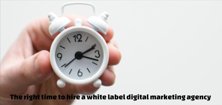 White label digital marketing agency 