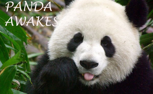 Panda Update