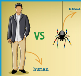 SEO Vs Branding