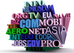 Domain Name