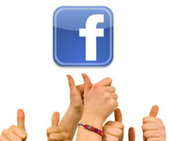 Real Fan Page Likes