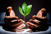 how-to-make-your-online-business-flourish