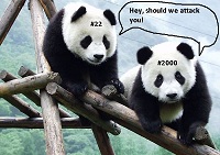 Panda 22