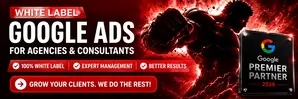 White label Google Ads management for agencies
