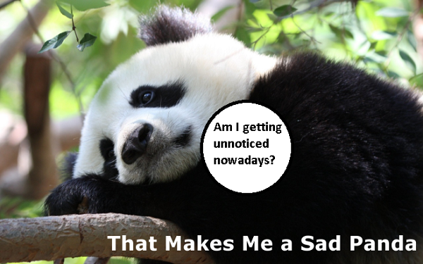 Sad Panda 22 Google 